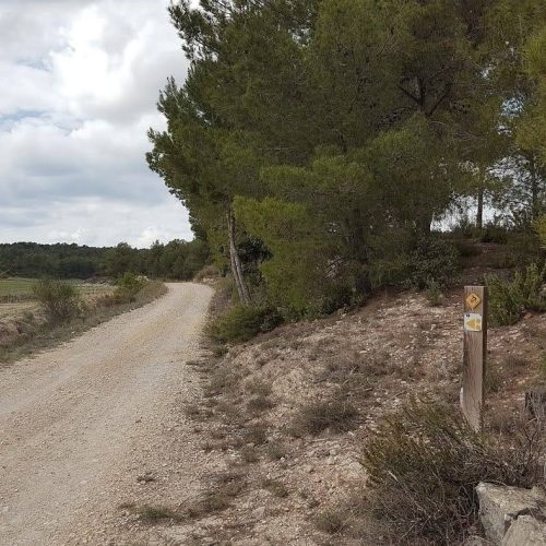 FontanaresTrack1 Track in Fontanares, Valencia, Spain on the Roda la Vall cycling route